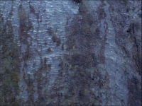 strange-6